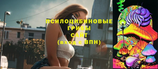 бутират Каменногорск