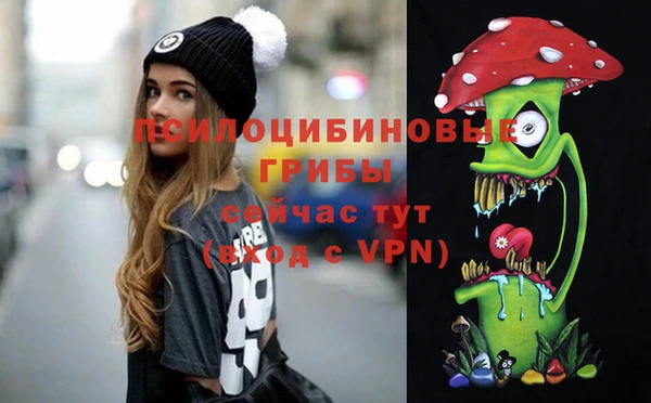 бутират Каменногорск