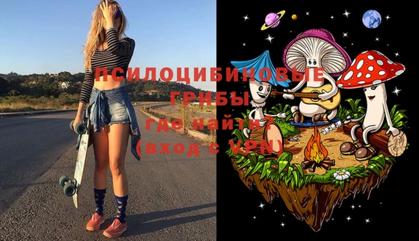 а пвп мука Каменка