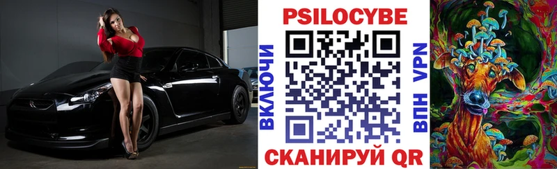 Галлюциногенные грибы Psilocybe  Купить закладки  Сухиничи 